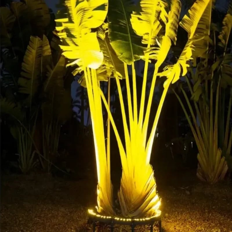 Warm tree uplighting for outdoor landscape design