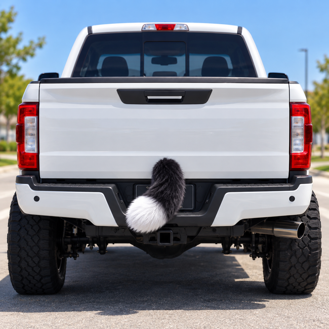 Black tail with a white tip on a white pickup