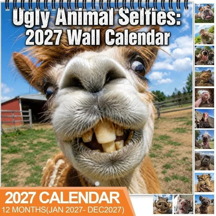 ⏰Limited Stock 50% OFF -📸 Ugly Animal Selfies™ 2027 Wall Calendar – 12 Months of Terrible Angles & Perfect Timing