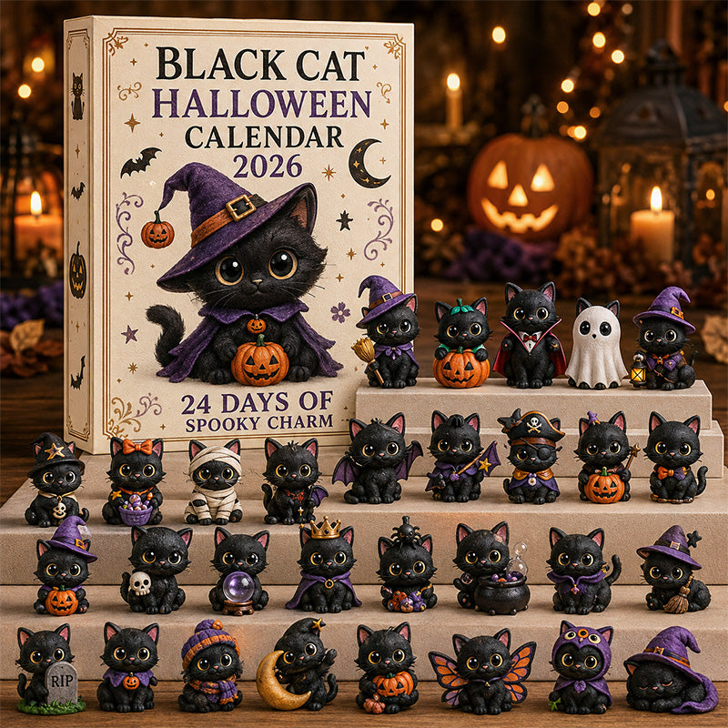 🐈 Black Cat