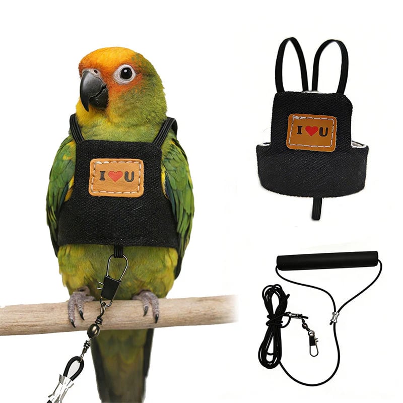 💖Breathable Pet Bird Harness Vest☁️