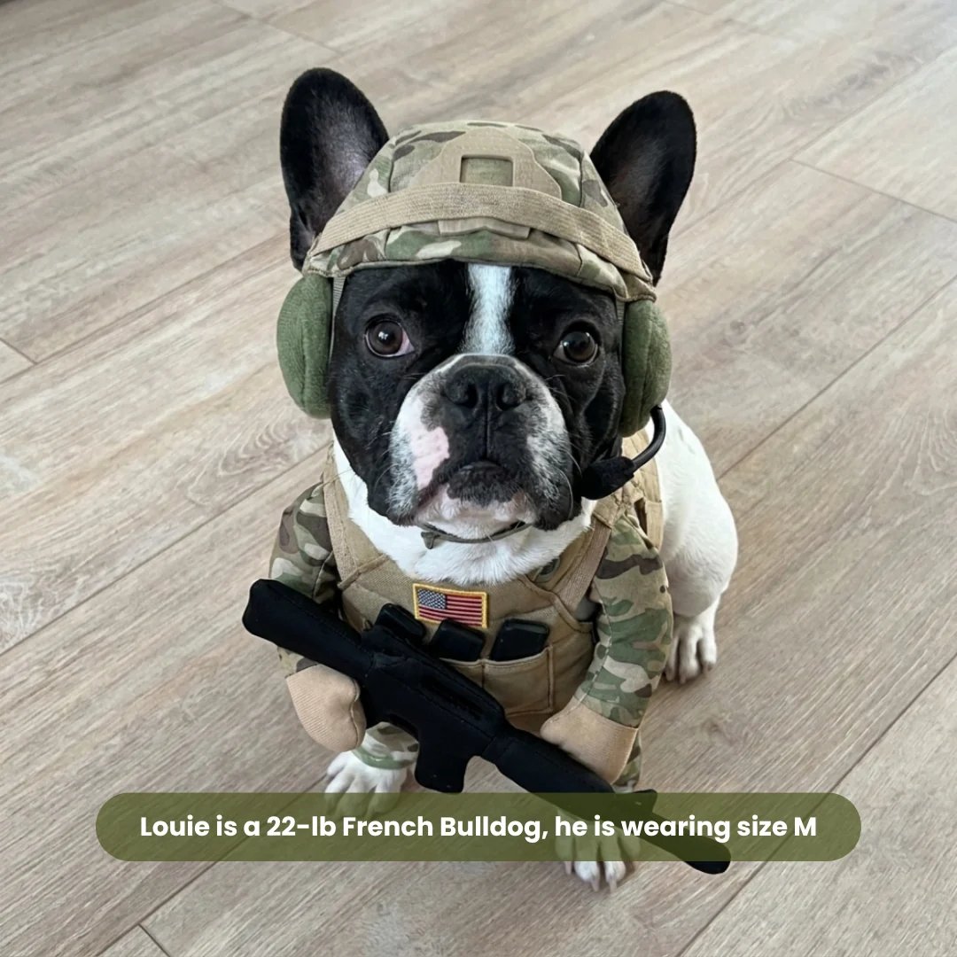 🔥 Limited-Time 49% OFF✨Pet Tactical Soldier Uniform