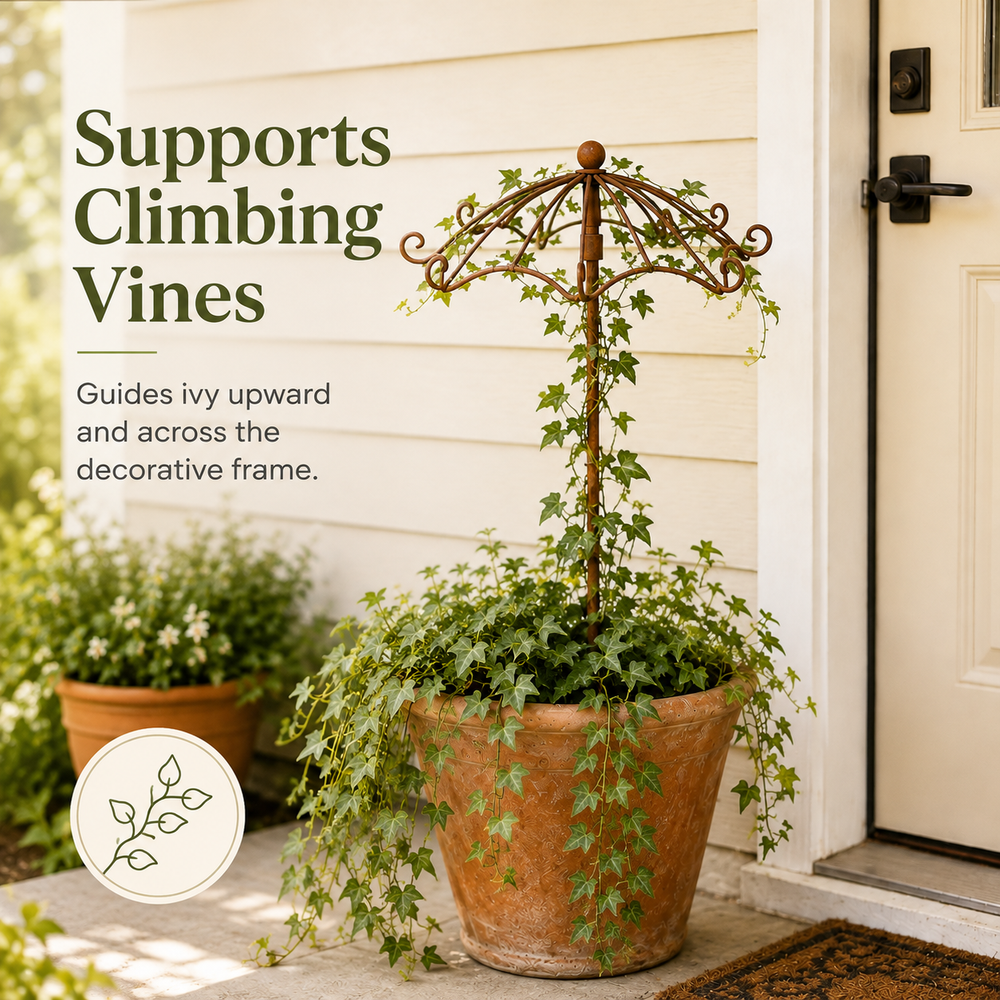 Umbrella trellis supporting climbing vines