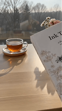 Ink Tracing Art Book in a quiet lifestyle setting