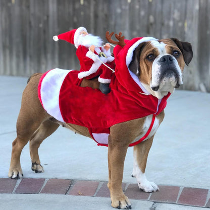 🎅🐾 Christmas Santa Rider Pet Costume – Funny Holiday Outfit for Dogs & Cats 🎄🐶